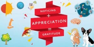 happiness-appreciation