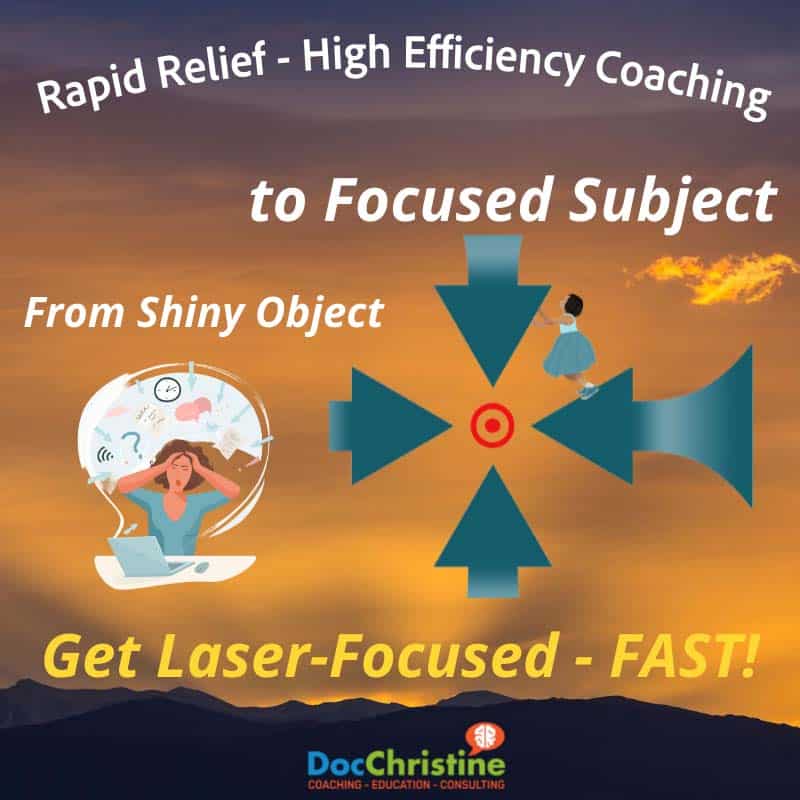 focus-adhd-distracted-unfocus-confused-adhd help-dr christine sauer-high efficiency coaching-mental health-brain health