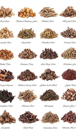 herbs-herbalism-natural medicine-naturopathy-chinese medicine-ayurveda-traditional healing-medicine-health-wellness-doctor