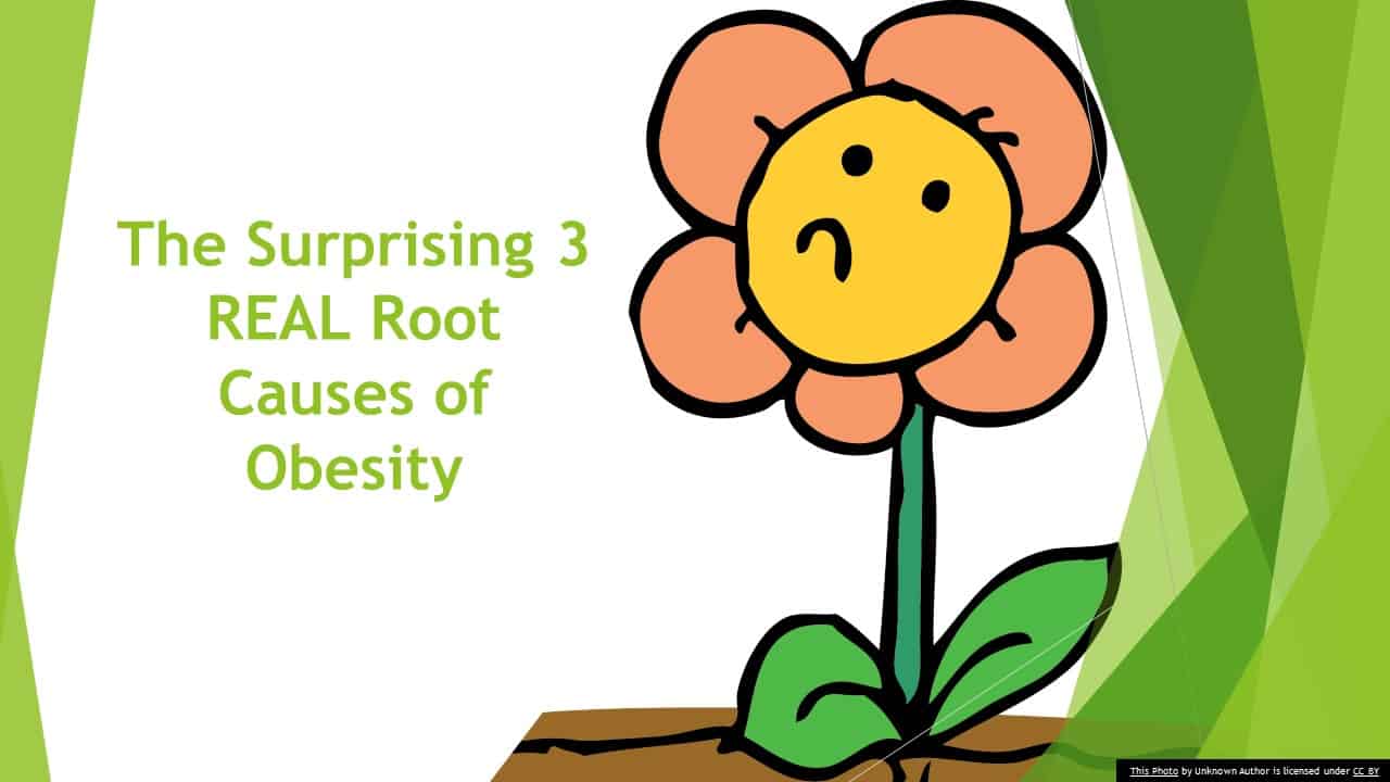 Key concepts of Lasting Weight Loss -the real root causes of obesity