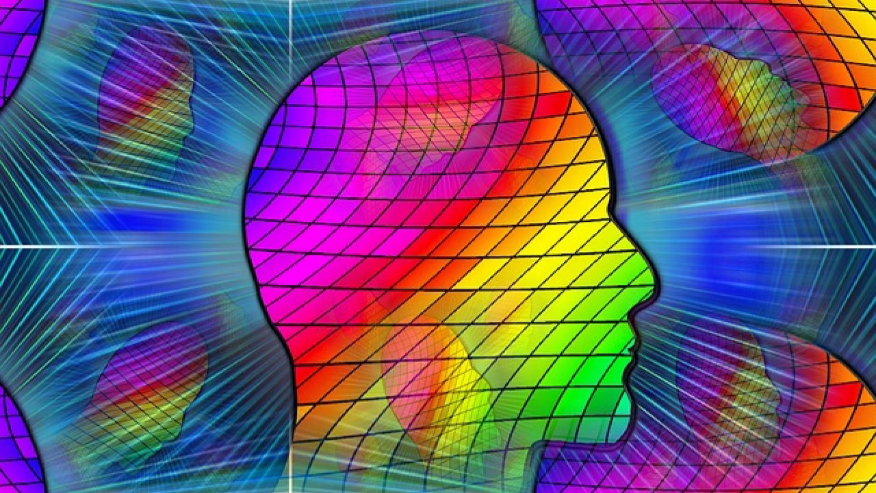 Brain Health Assessment: Elevate Your Life brain health assessment dr daniel amen md neuroscience