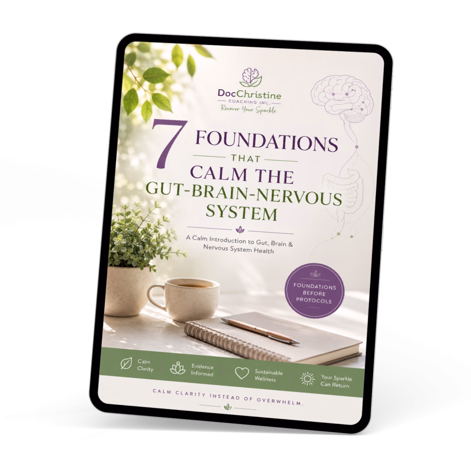 book cover 7 foundations that calm the  brain gut nervous system