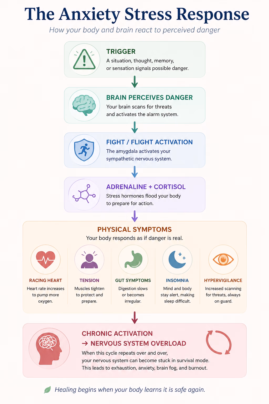 understanding anxiety stress response diagram