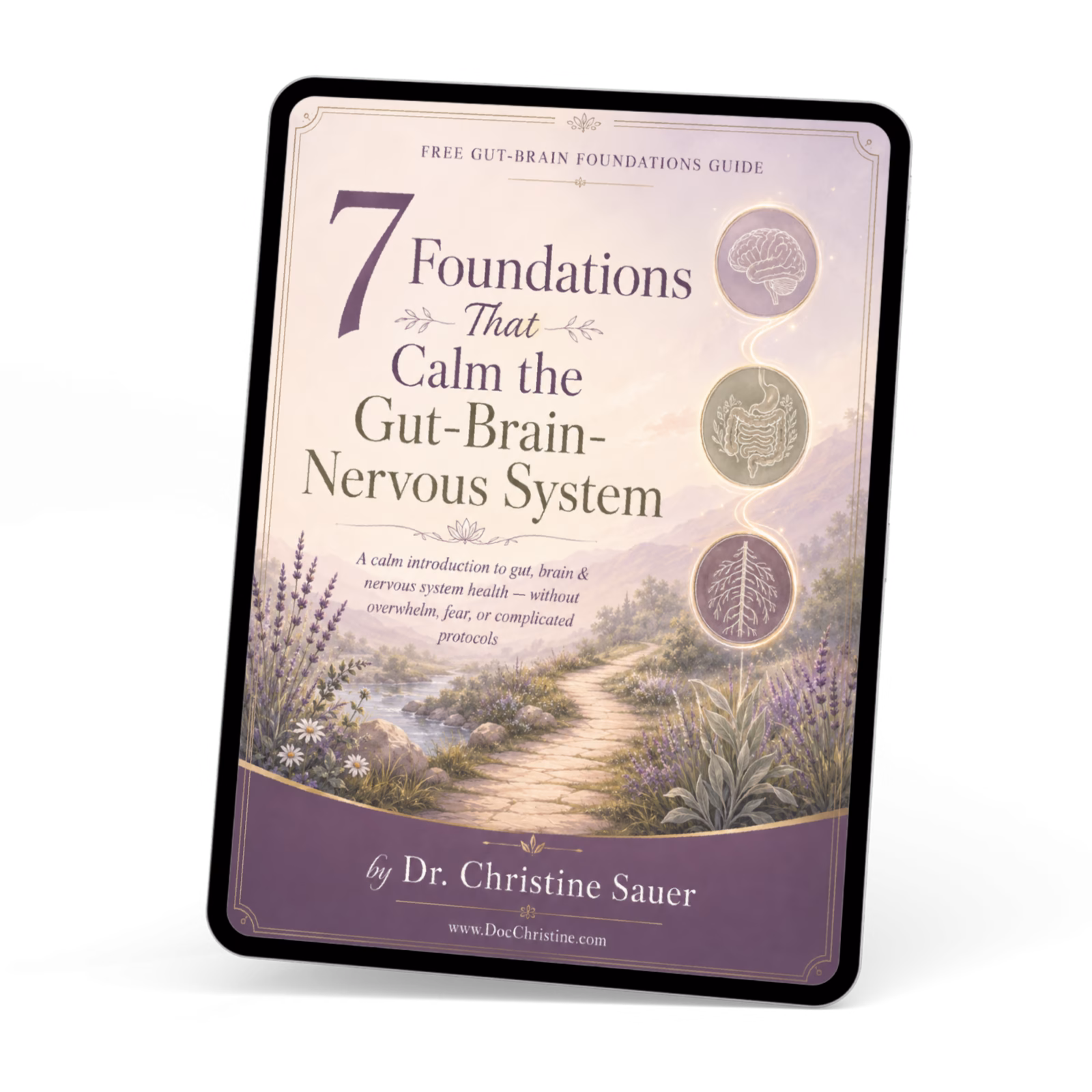 Free guide cover for 7 Foundations That Calm the Gut-Brain-Nervous System by Dr. Christine Sauer, introducing gut, brain, and nervous system health without overwhelm.