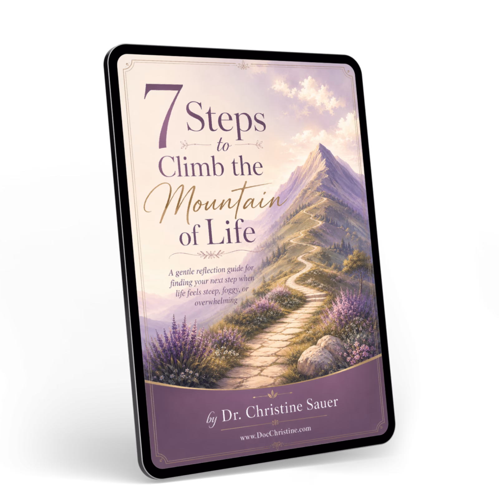 7 steps to climb the mountain of life book cover image dr christine sauer personal growth depression recovery recover your sparkle